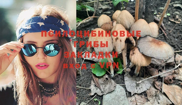 сатива Богданович